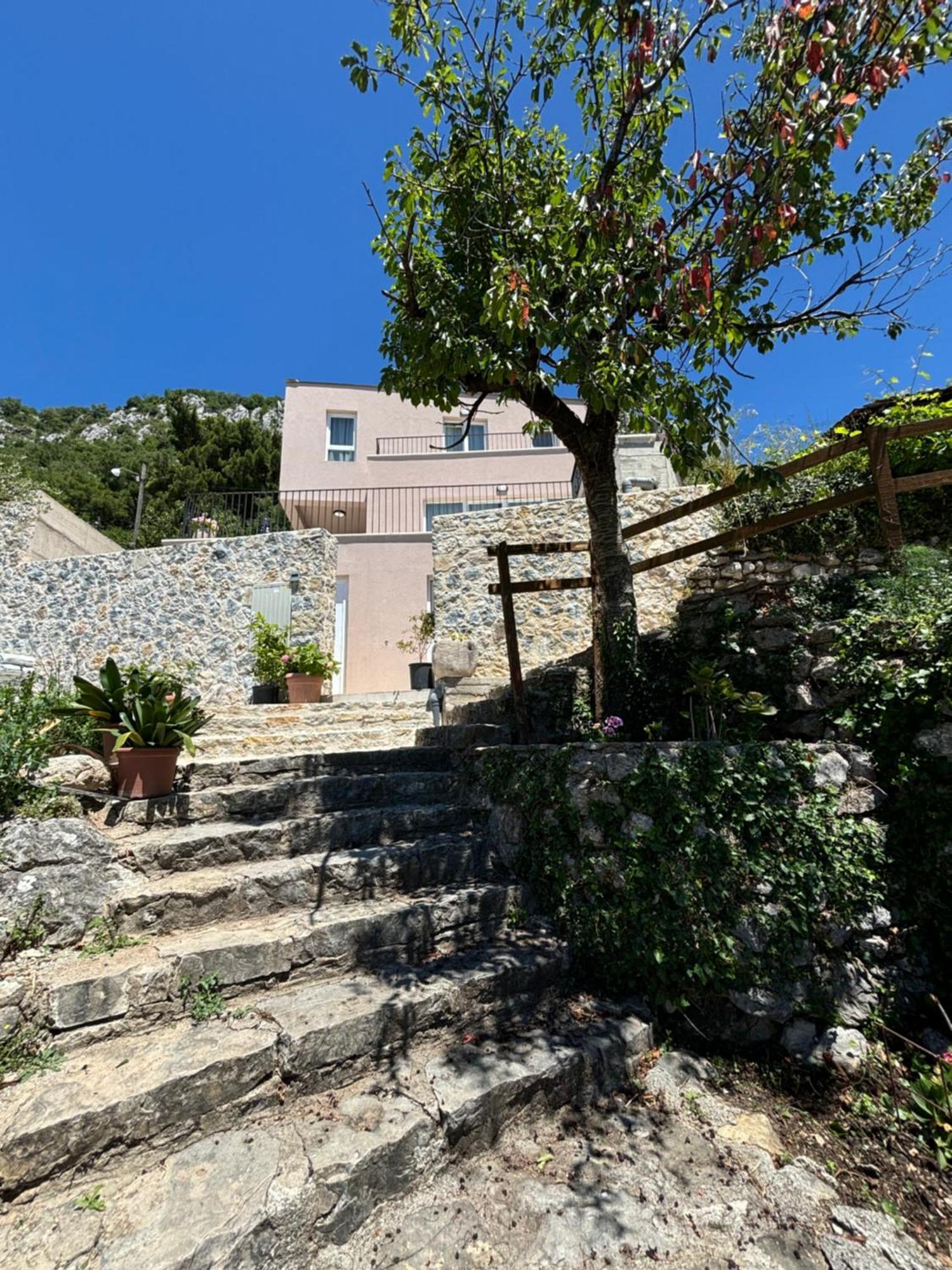 Zukovica Petrovac